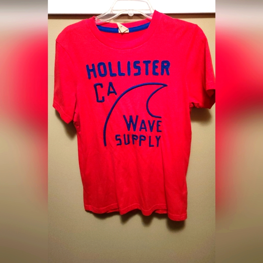 Hollister Men L  Wave T-Shirt